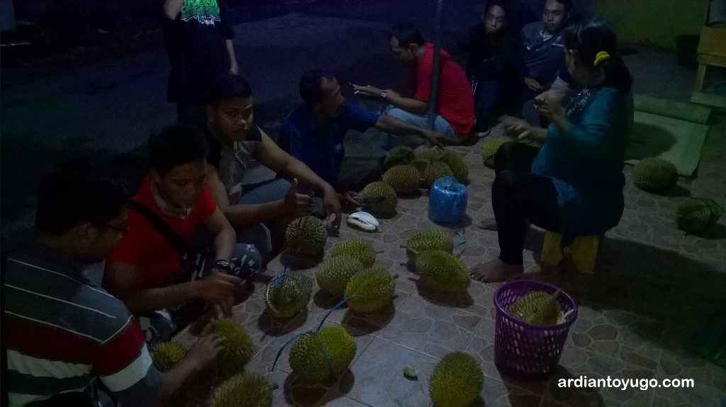durian kulon progo 2