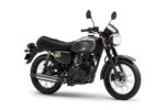 Kawasaki W175 Cafe 2025 Pearl Storm Gray / Metallic Spark Black...