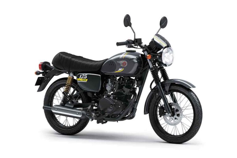 Kawasaki W175 Cafe 2025 Pearl Storm Gray / Metallic Spark Black...