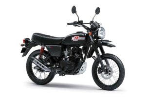 Kawasaki W175TR 2025 Ebony...