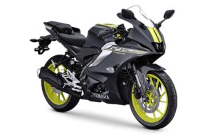 Yamaha R15 2025 Aggresive Grey...